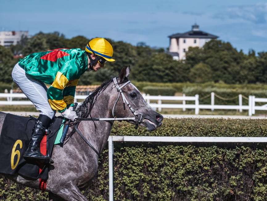 Jetbahis güncel giriş 2025 Jetbahis Güncel Giriş 2025