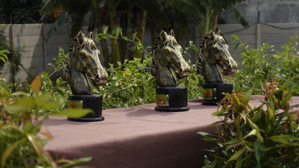 Betpioner deneme bonusu 2025 Betpioner Deneme Bonusu 2025